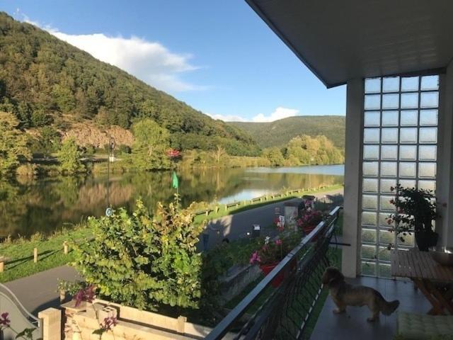 Вілла La Rose Sur Meuse Haybes Екстер'єр фото